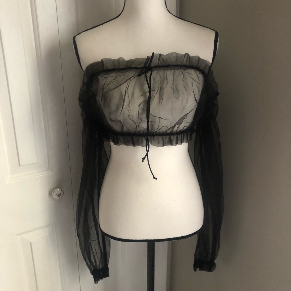 Mesh Long Sleeve Crop Top